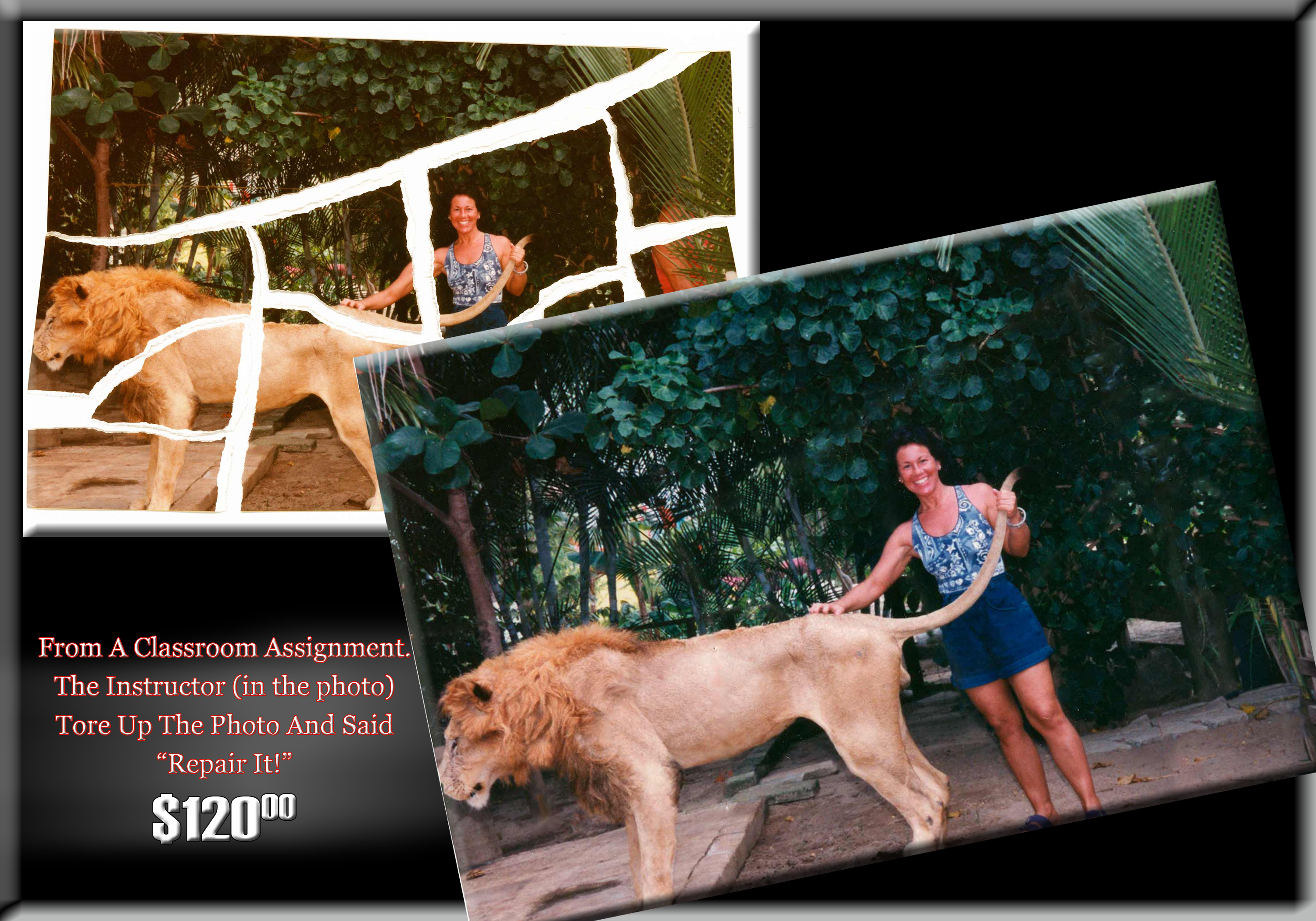 Damaged Photo. Torn apart. Fully restored.